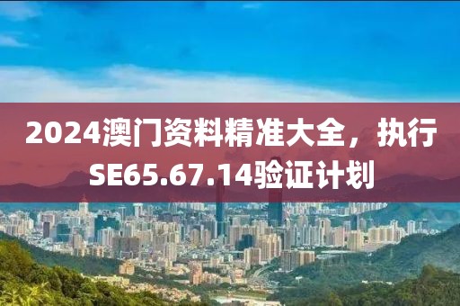 2024澳门资料精准大全，执行SE65.67.14验证计划