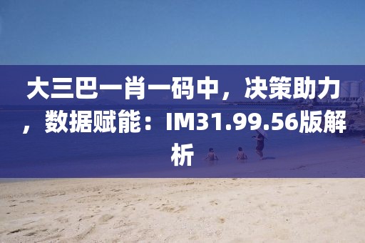 大三巴一肖一码中，决策助力，数据赋能：IM31.99.56版解析