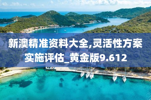 新澳精准资料大全,灵活性方案实施评估_黄金版9.612