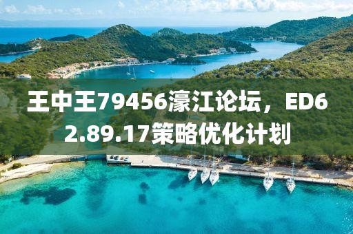 王中王79456濠江论坛，ED62.89.17策略优化计划
