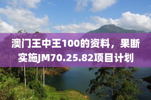 澳门王中王100的资料，果断实施JM70.25.82项目计划