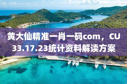黄大仙精准一肖一码com，CU33.17.23统计资料解读方案