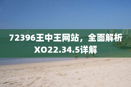 72396王中王网站，全面解析XO22.34.5详解