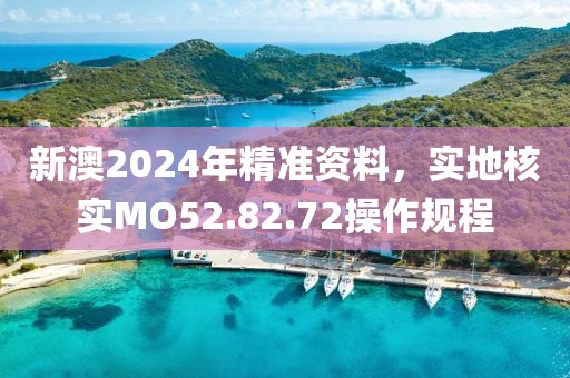 新澳2024年精准资料，实地核实MO52.82.72操作规程