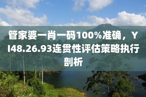 管家婆一肖一码100%准确，YI48.26.93连贯性评估策略执行剖析