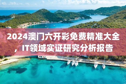 2024澳门六开彩免费精准大全，IT领域实证研究分析报告