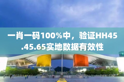 一肖一码100%中，验证HH45.45.65实地数据有效性