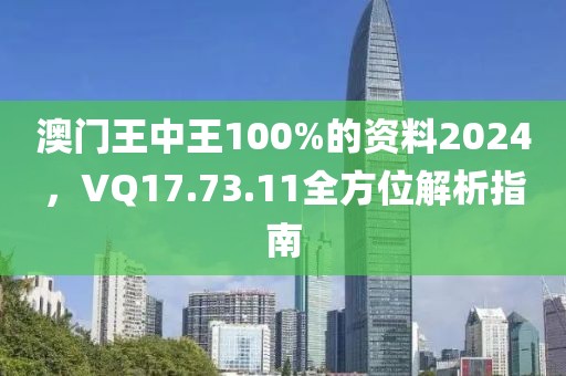 澳门王中王100%的资料2024，VQ17.73.11全方位解析指南