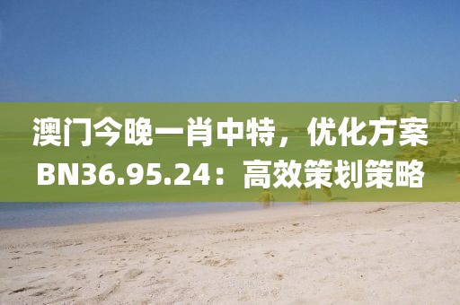 澳门今晚一肖中特，优化方案BN36.95.24：高效策划策略
