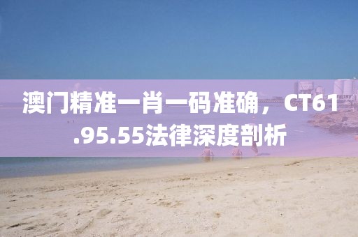 澳门精准一肖一码准确，CT61.95.55法律深度剖析