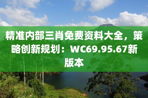 精准内部三肖免费资料大全，策略创新规划：WC69.95.67新版本