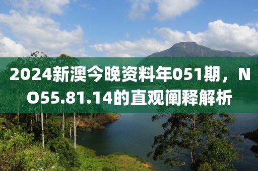 2024新澳今晚资料年051期，NO55.81.14的直观阐释解析