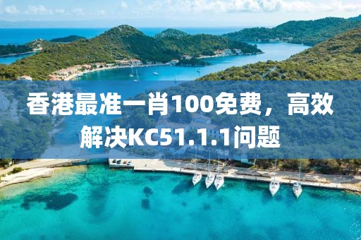 香港最准一肖100免费，高效解决KC51.1.1问题