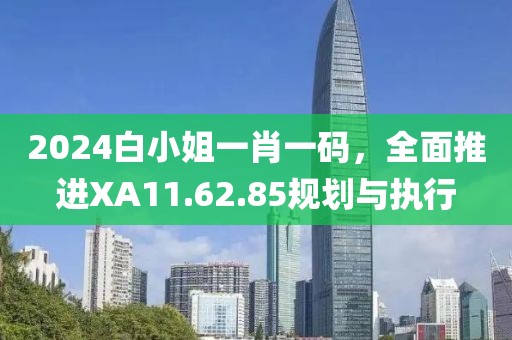 2024白小姐一肖一码，全面推进XA11.62.85规划与执行