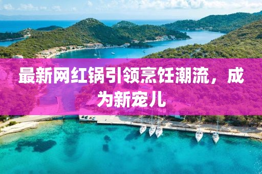 最新网红锅引领烹饪潮流，成为新宠儿