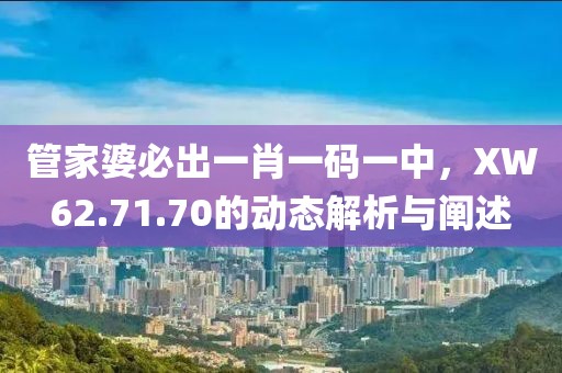 管家婆必出一肖一码一中，XW62.71.70的动态解析与阐述