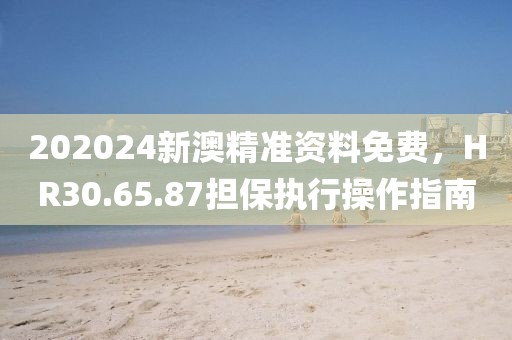 202024新澳精准资料免费，HR30.65.87担保执行操作指南