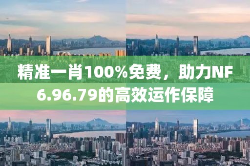 精准一肖100%免费，助力NF6.96.79的高效运作保障