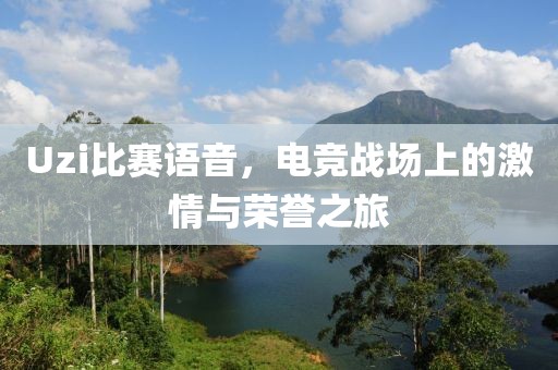 Uzi比赛语音，电竞战场上的激情与荣誉之旅