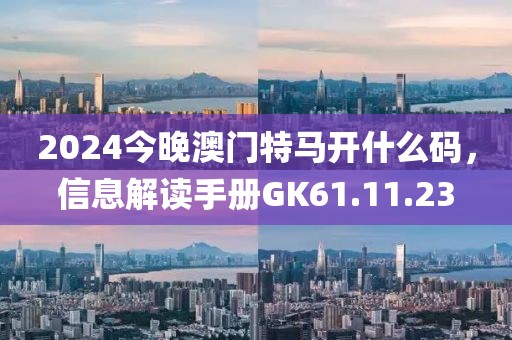 2024今晚澳门特马开什么码，信息解读手册GK61.11.23