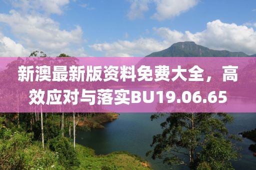 新澳最新版资料免费大全，高效应对与落实BU19.06.65