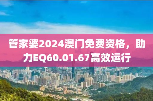管家婆2024澳门免费资格，助力EQ60.01.67高效运行