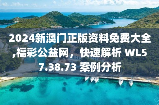 2024新澳门正版资料免费大全,福彩公益网，快速解析 WL57.38.73 案例分析