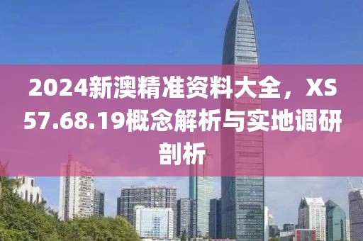2024新澳精准资料大全，XS57.68.19概念解析与实地调研剖析