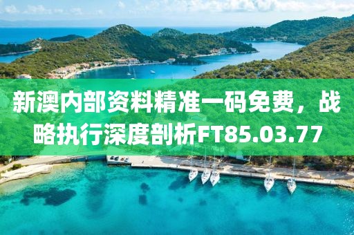 新澳内部资料精准一码免费，战略执行深度剖析FT85.03.77