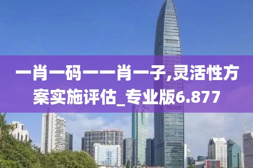 一肖一码一一肖一子,灵活性方案实施评估_专业版6.877