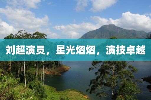刘超演员，星光熠熠，演技卓越