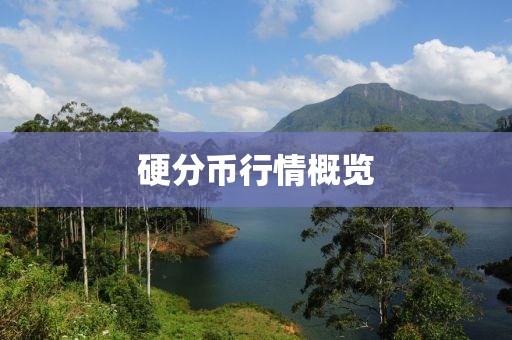 硬分币行情概览