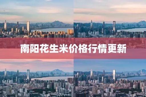 南阳花生米价格行情更新