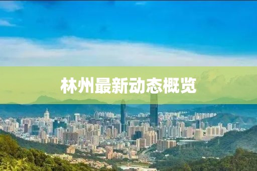 林州最新动态概览