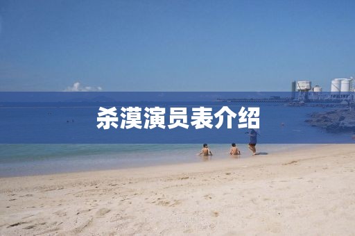 杀漠演员表介绍