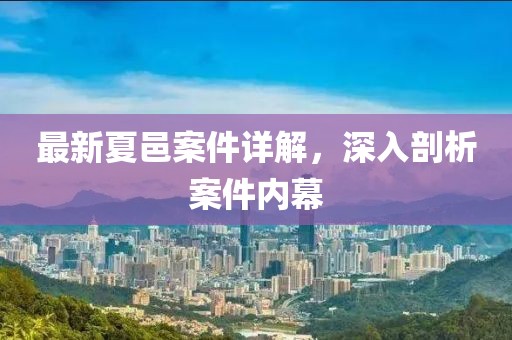 最新夏邑案件详解，深入剖析案件内幕