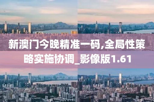 新澳门今晚精准一码,全局性策略实施协调_影像版1.61