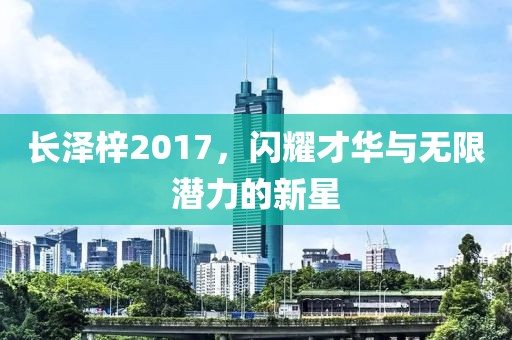 长泽梓2017，闪耀才华与无限潜力的新星
