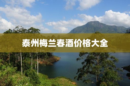 泰州梅兰春酒价格大全
