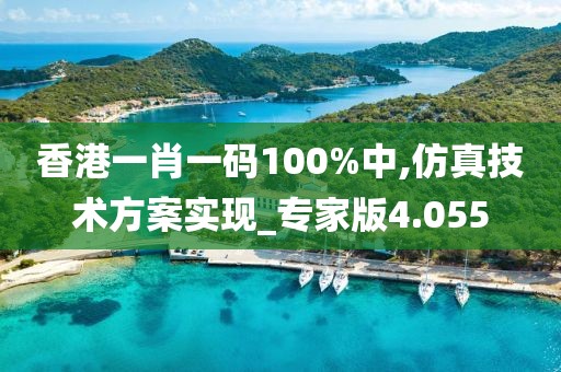 香港一肖一码100%中,仿真技术方案实现_专家版4.055