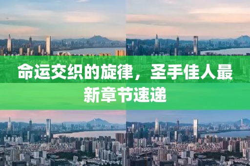 命运交织的旋律，圣手佳人最新章节速递