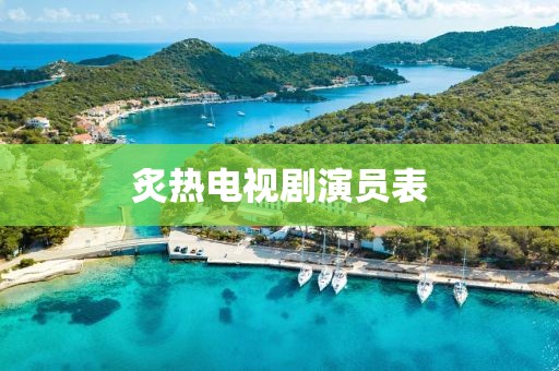 炙热电视剧演员表