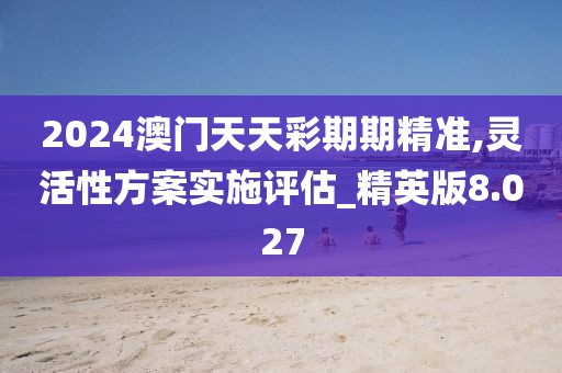 2024澳门天天彩期期精准,灵活性方案实施评估_精英版8.027