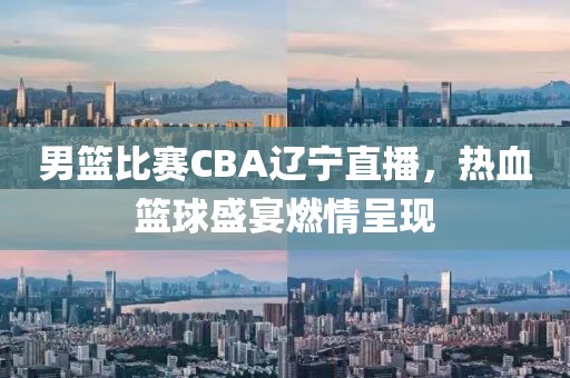 男篮比赛CBA辽宁直播，热血篮球盛宴燃情呈现