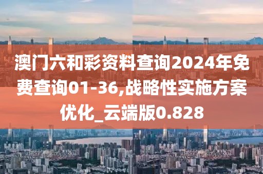 澳门六和彩资料查询2024年免费查询01-36,战略性实施方案优化_云端版0.828