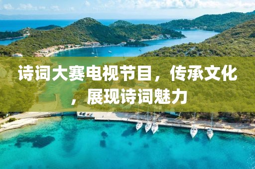 诗词大赛电视节目，传承文化，展现诗词魅力
