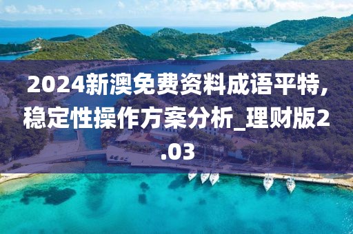 2024新澳免费资料成语平特,稳定性操作方案分析_理财版2.03
