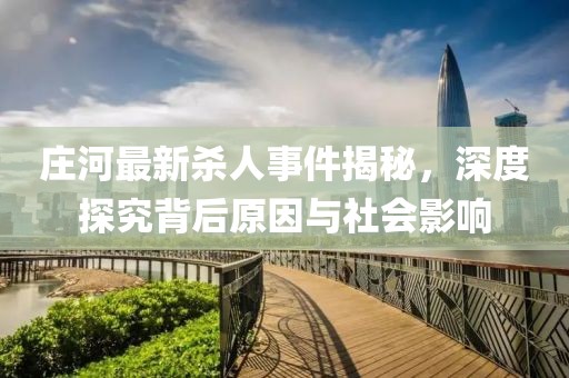 庄河最新杀人事件揭秘，深度探究背后原因与社会影响