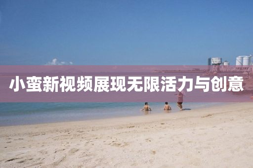 小蛮新视频展现无限活力与创意