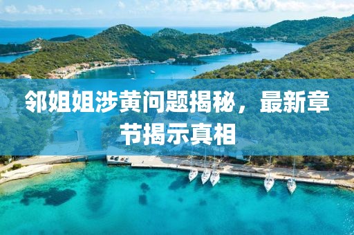 邻姐姐涉黄问题揭秘，最新章节揭示真相